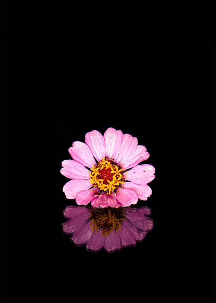 Reflection